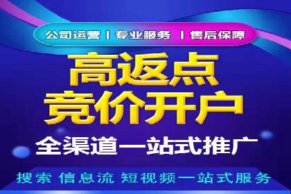 竞价推广公司案例：实战技巧与策略